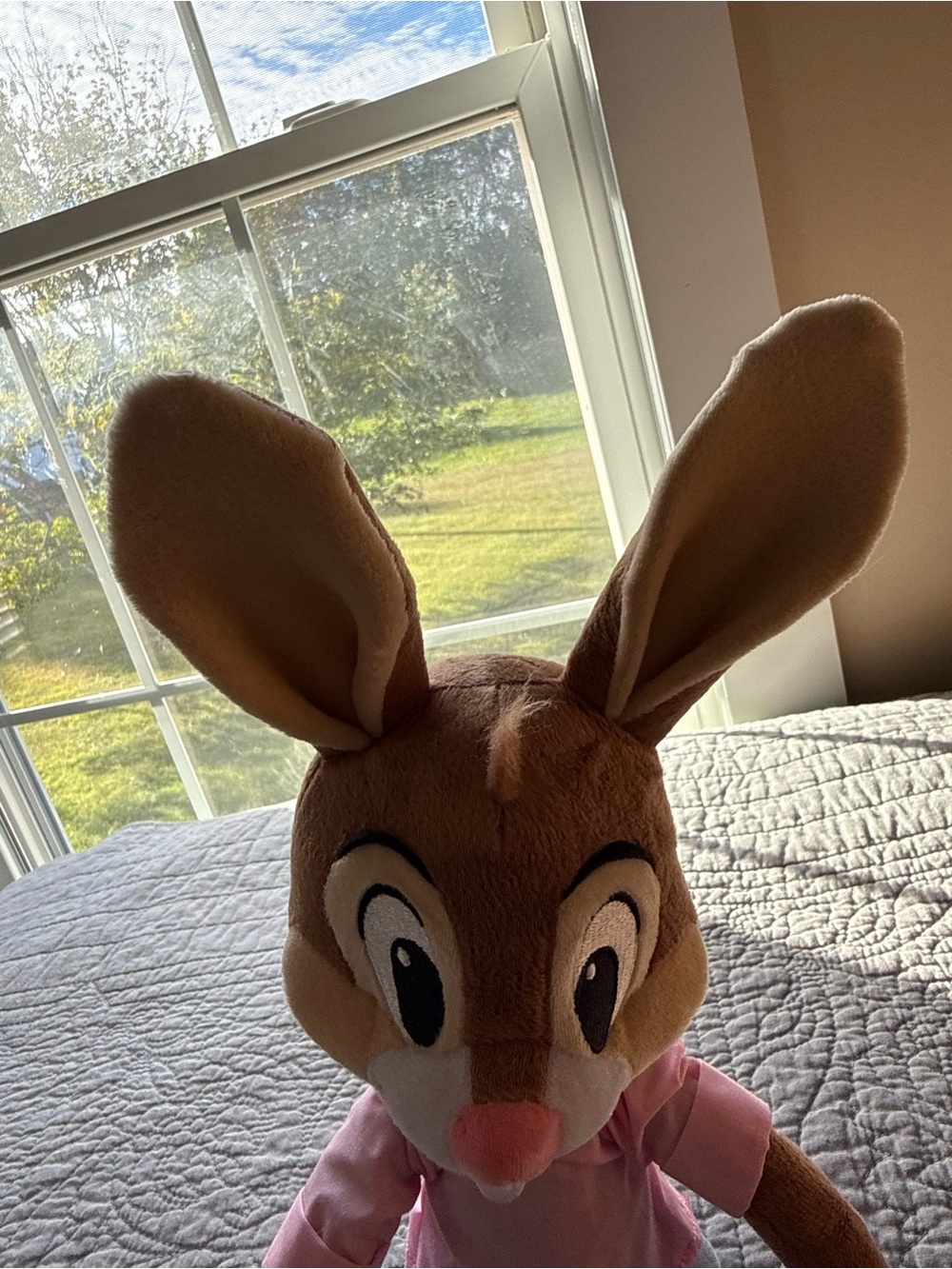 Brer Rabbit Splash Mountain Plush - Picture 6 of 10